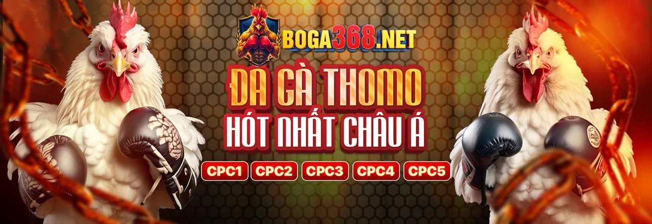 Đá gà trực tuyến kịch tính tại keonhacaichuan